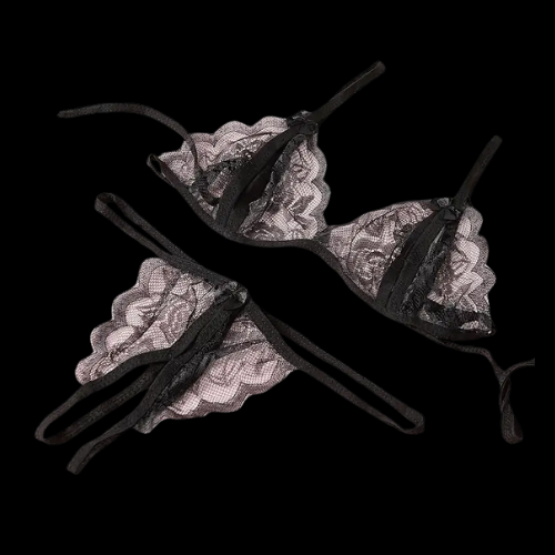 Black Sheer Lingerie Set